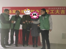 华润国际